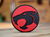 Placa Decorativa - THUNDERCATS na internet