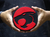 Placa Decorativa - THUNDERCATS - loja online
