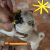 Imagen de Hueso Mediano en Caucho Natural