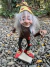 Duende Frascos