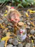 Duende Botellita de Deseos en internet