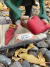 Duende Paradito - tienda online