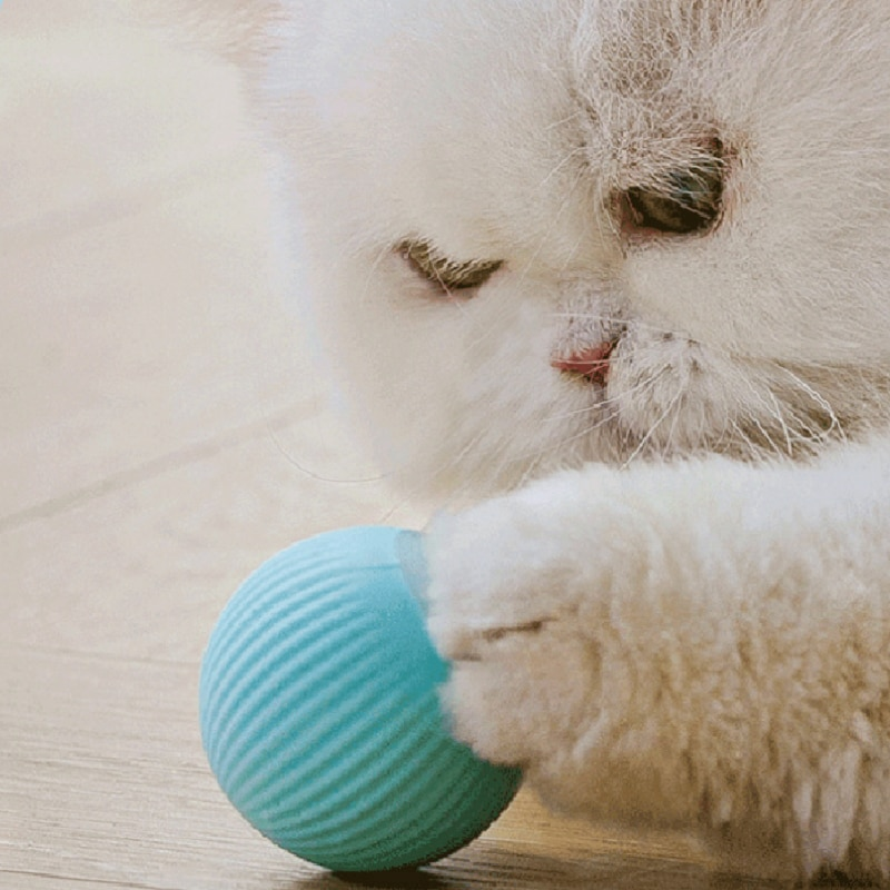 Cobrinha para gatos - brinquedo interativo com carregamento USB