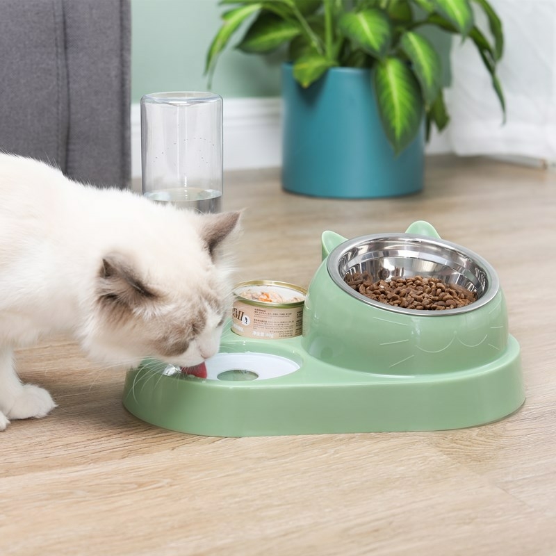 Tigela De Controle De Alimentação Antiderrapante Em Forma De 3 Peças * Cm  Jogo Americano De Pata De Dispersão Filhote De Comida De Gatinho Para Gato