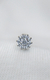 Labret Sunflower zirconias
