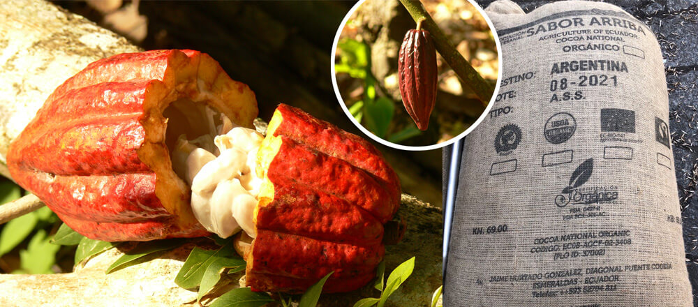 Get Real Chocolate - Imágenes del fruto del cacao y de una bolsa de arpillera con los granos de cacao para exportación