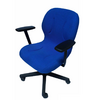 Silla Elam