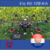 Proton Elic RB-128 IHA - comprar online