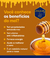 Mel Silvestre 5Kg - Balde - comprar online