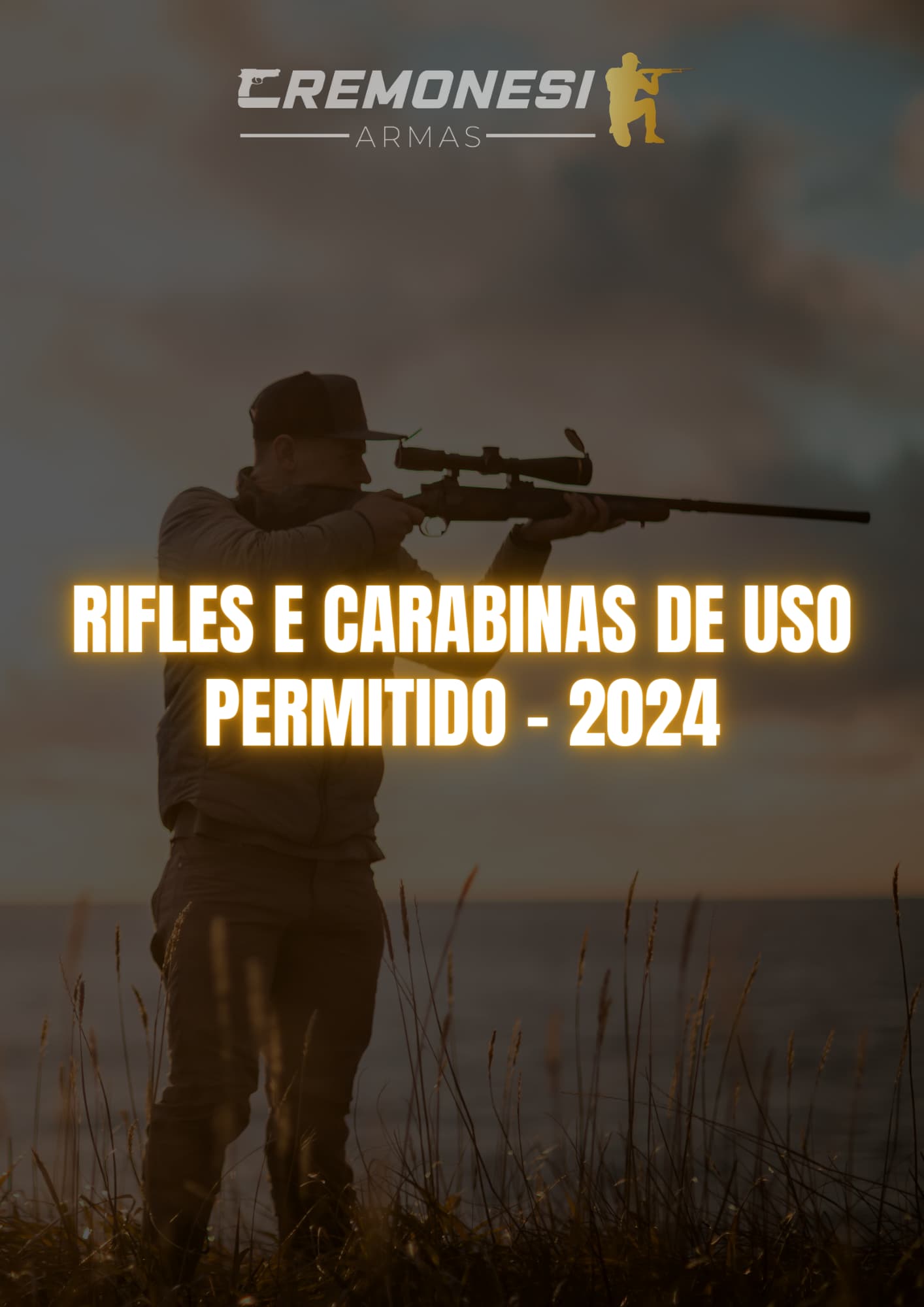 Rifles e carabinas de uso permitido - 2024