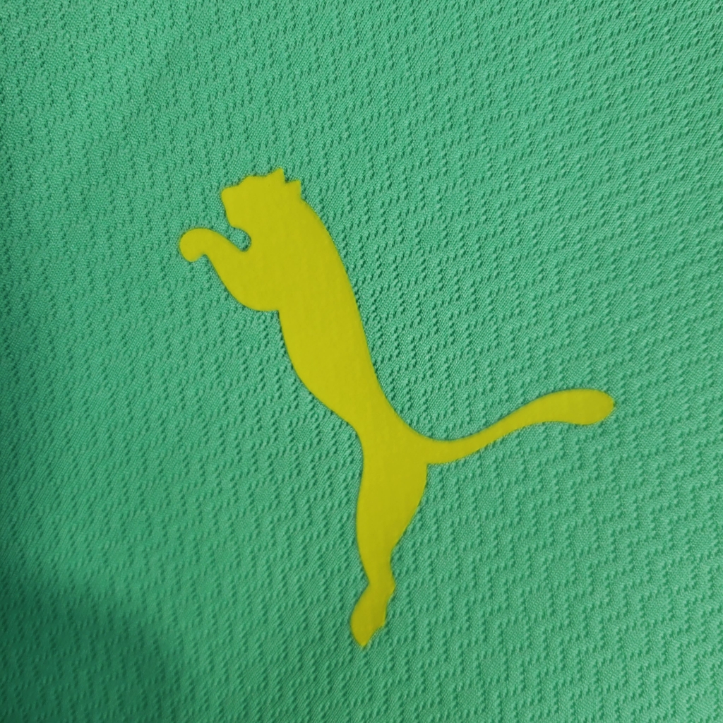 Camisa Palmeiras Casa 2023 Puma - Torcedor / VERDE