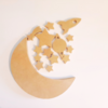 Luna Espacial Equilibrista