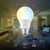 Nexxt Smart Wi-Fi Foco LED (2-Pack) - Luz Cálida/Blanca - comprar en línea