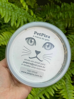 Graminha para Gatos - Pet Pira