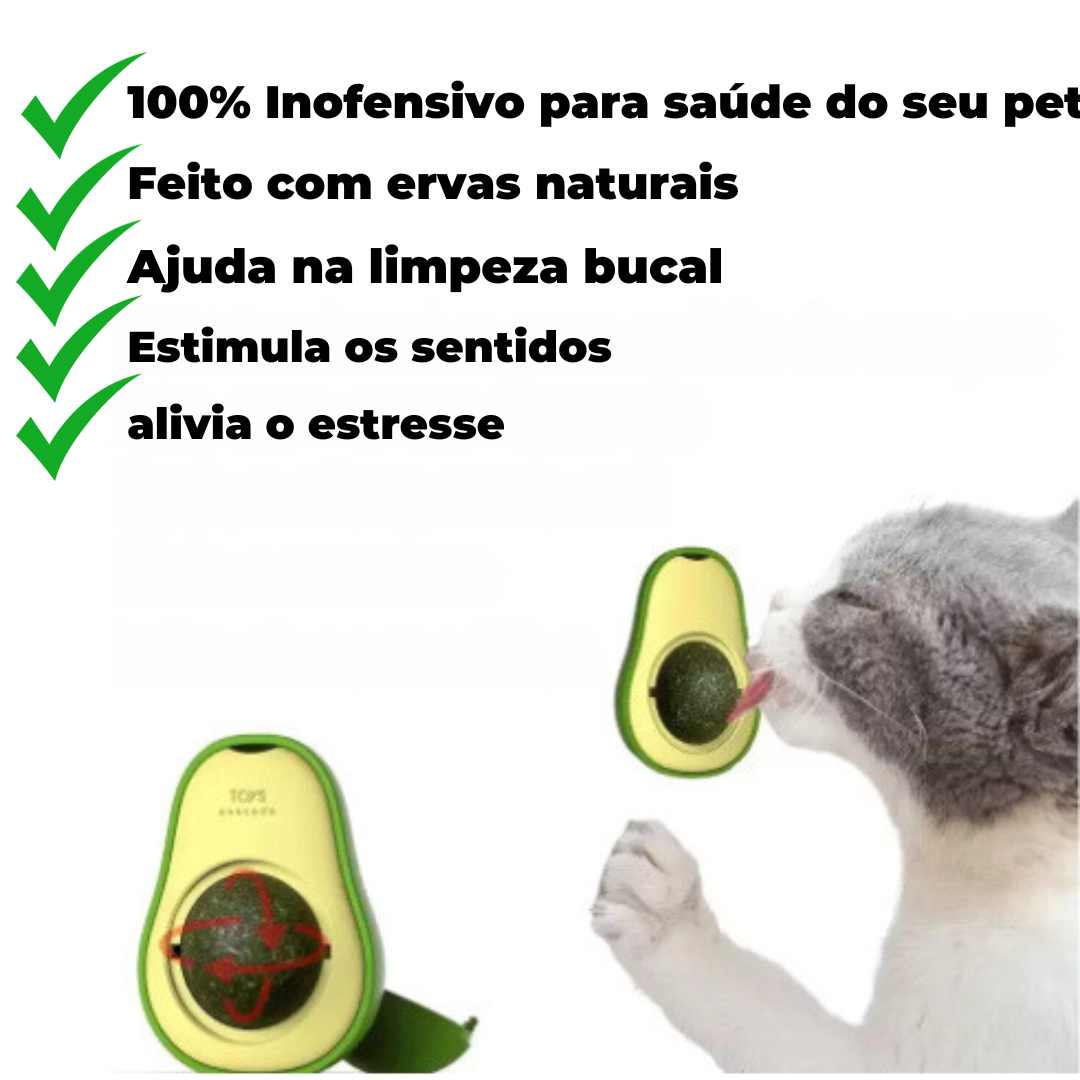 Novo abacate catnip bola de parede gato brinquedo catnip comestível  lambendo bolas lanche saudável rotatable trata brinquedo gatinho auto-hey  ferramenta de jogo - AliExpress