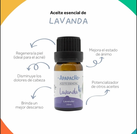 Aceite esencial de Lavanda – Apapacho Balsamos