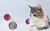 PAR DE PELOTAS EN FIQUE PARA GATO COLORES SURTIDOS CV2-78 - comprar online