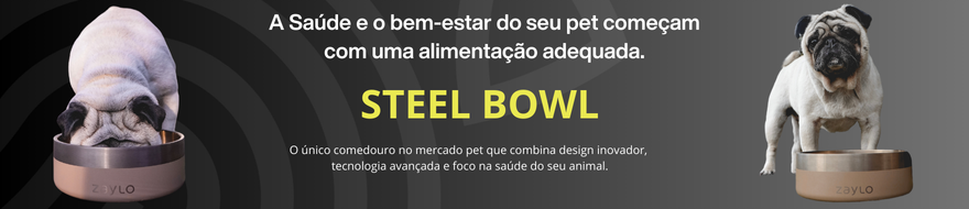 Banner ilustrando a importância de um pote de qualidade para alimentação do cão