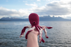 PULPO COLORADO PATAGÓNICO