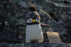 HUMBOLDT PINGÜINO