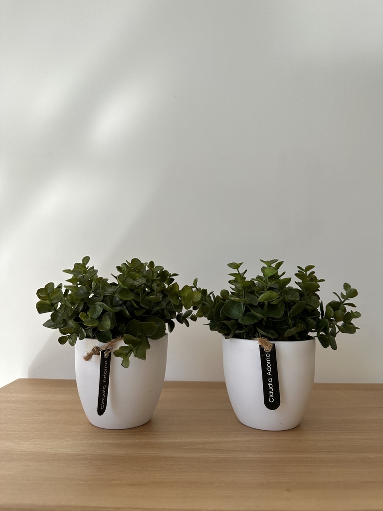 Ricarica Profumatore Lavanda | Erbario Toscano - Foto 6