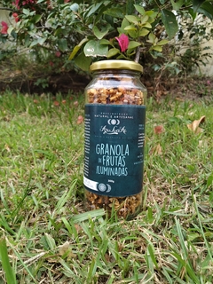 Granola de Frutas Iluminadas - 300g