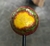Paleta Rockaleta 4 Capas en internet