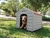 Casa para perro chico Rimax