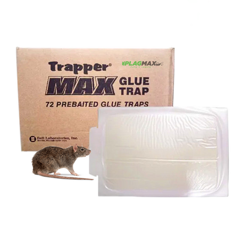 Trapper Max Mouse Glue Trap