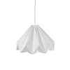 bloms / blanco