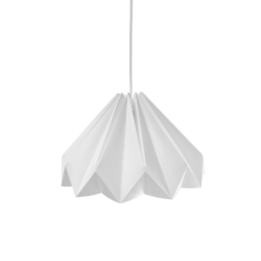 bloms / blanco
