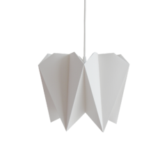 boj blanco