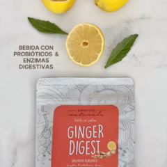 GINGER DIGEST en internet