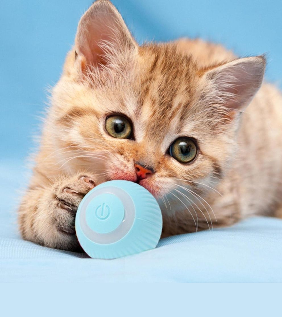 Bolas de brinquedo para gatos, brinquedo inteligente interativo