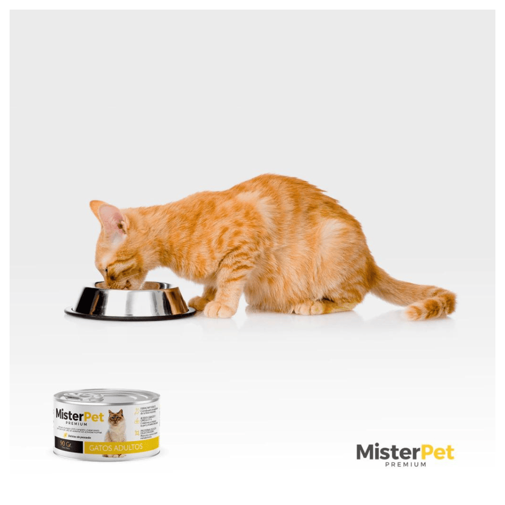 mister pet alimento humedo para gatos