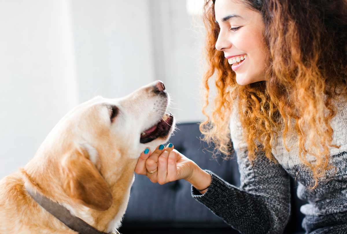 PERRRO ADULTO Y UNA MUJER