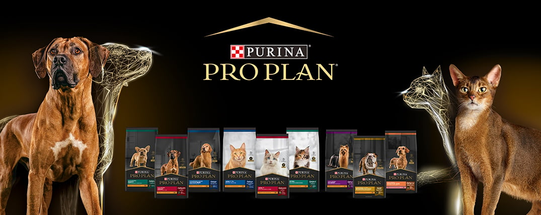 linea proplan purina