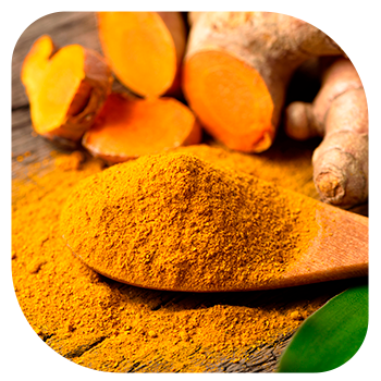 CURCUMA COM COLAGENO MELCOPROL