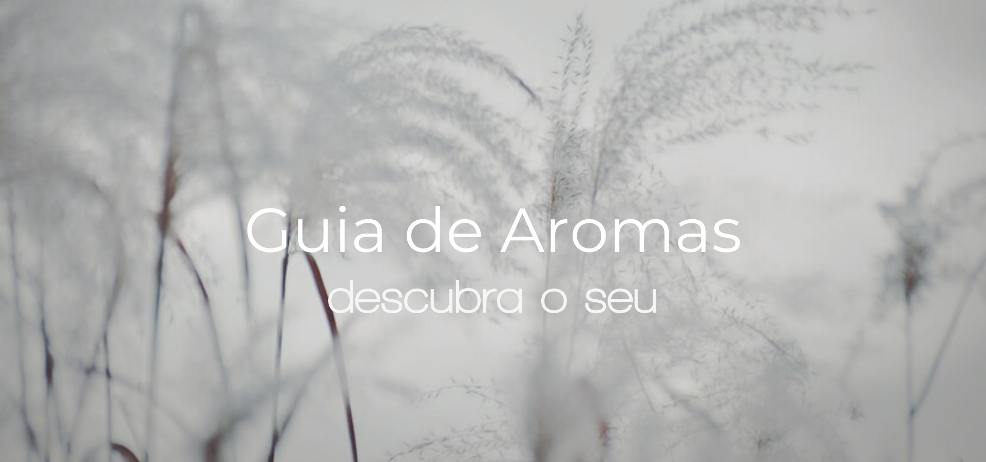 Velas aromáticas artesanais com perfumes autorais