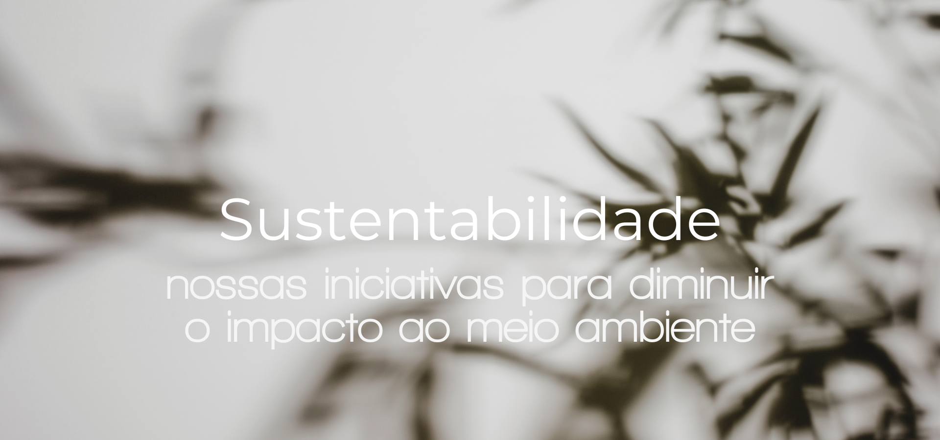 Escolha Sustentável: Transforme Seu Ambiente com Consciência