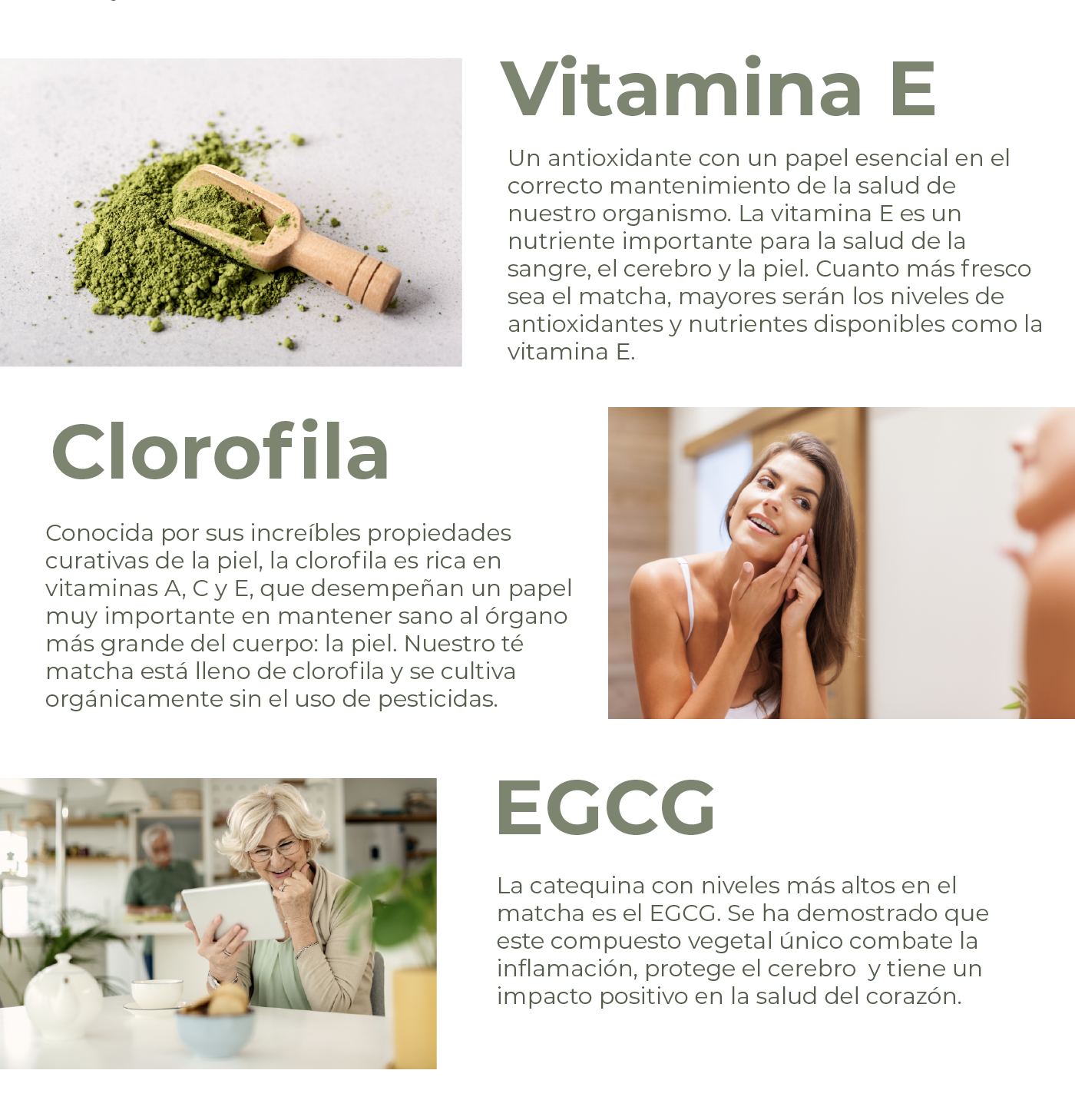 Vitamina E Un antioxidante con un papel esencial en el correcto mantenimiento de la salud de nuestro organismo. La vitamina E es un nutriente importante para la salud de la sangre, el cerebro y la piel. Cuanto más fresco sea el matcha, mayores serán los niveles de antioxidantes y nutrientes disponibles como la vitamina E.   Clorofila Conocida por sus increíbles propiedades curativas de la piel, la clorofila es rica en vitaminas A, C y E, que desempeñan un papel muy importante en mantener sano al órgano más grande del cuerpo: la piel. Nuestro té matcha está lleno de clorofila y se cultiva orgánicamente sin el uso de pesticidas.  EGCG La catequina con niveles más altos en el matcha es el EGCG. Se ha demostrado que este compuesto vegetal único combate la inflamación, protege el cerebro  y tiene un impacto positivo en la salud del corazón.