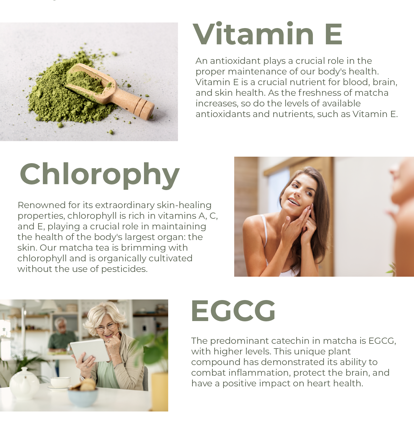 Vitamin E An antioxidant with an essential role in maintaining overall health. Vitamin E is an important nutrient for blood, brain, and skin health. The fresher the matcha, the higher the levels of antioxidants and nutrients available, such as Vitamin E.  Chlorophyll Known for its incredible skin-healing properties, chlorophyll is rich in vitamins A, C, and E, playing a crucial role in keeping the body's largest organ, the skin, healthy. Our matcha tea is full of chlorophyll and is organically cultivated without the use of pesticides.  EGCG The catechin with higher levels in matcha is EGCG. This unique plant compound has been shown to combat inflammation, protect the brain, and have a positive impact on heart health.