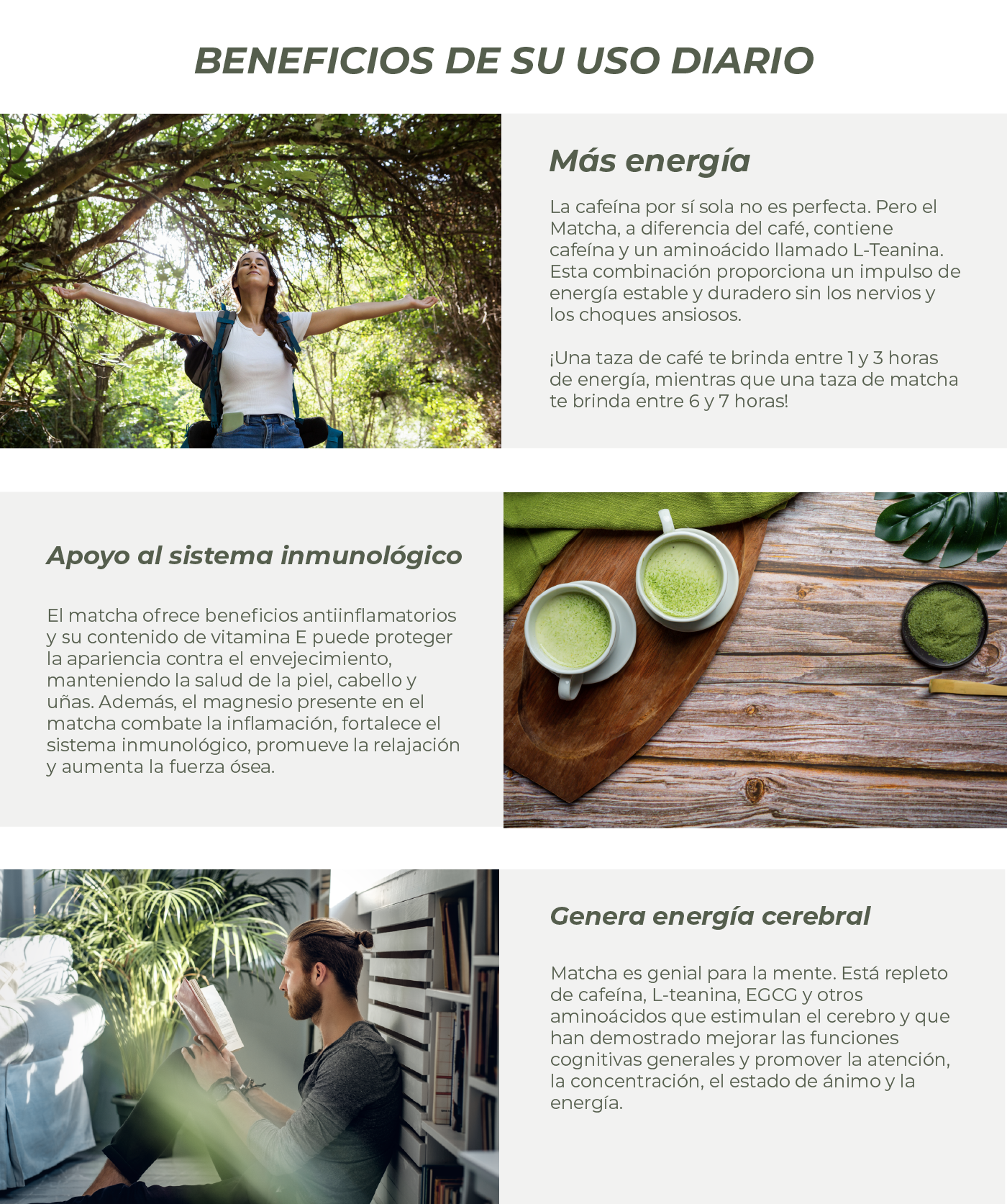 Más energía La cafeína por sí sola no es perfecta. Pero el Matcha, a diferencia del café, contiene cafeína y un aminoácido llamado L-Teanina. Esta combinación proporciona un impulso de energía estable y duradero sin los nervios y los choques ansiosos.  ¡Una taza de café te brinda entre 1 y 3 horas de energía, mientras que una taza de matcha te brinda entre 6 y 7 horas!  Apoyo al sistema inmunológico El matcha tiene beneficios antiinflamatorios y la vitamina E que se encuentra en el matcha puede proteger su apariencia del daño relacionado con la edad al proteger la salud de su piel, cabello y uñas. El magnesio que combate la inflamación, también conocido por ayudar al sistema inmunológico, promover la relajación y aumentar la fuerza ósea, abunda en el interior del matcha.  Genera energía cerebral Matcha es genial para la mente. Está repleto de cafeína, L-teanina, EGCG y otros aminoácidos que estimulan el cerebro y que han demostrado mejorar las funciones cognitivas generales y promover la atención, la concentración, el estado de ánimo y la energía.