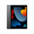 Ipad 10.2 Chip A13 Bionic / Novena Generacion / Wi-Fi / 64Gb / Gris Espacial