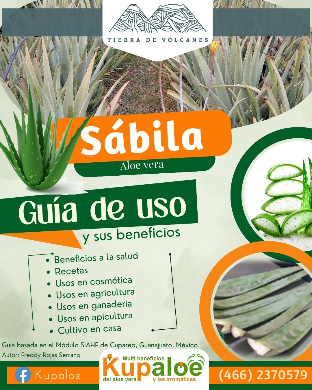 Kupaloe Guía de uso de aloe vera