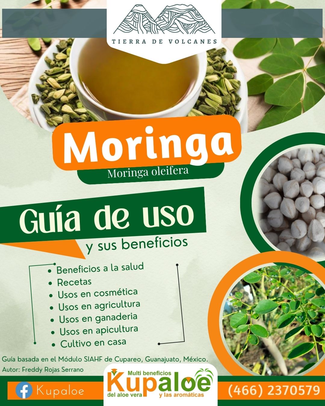 Kupaloe Guía de uso Moringa
