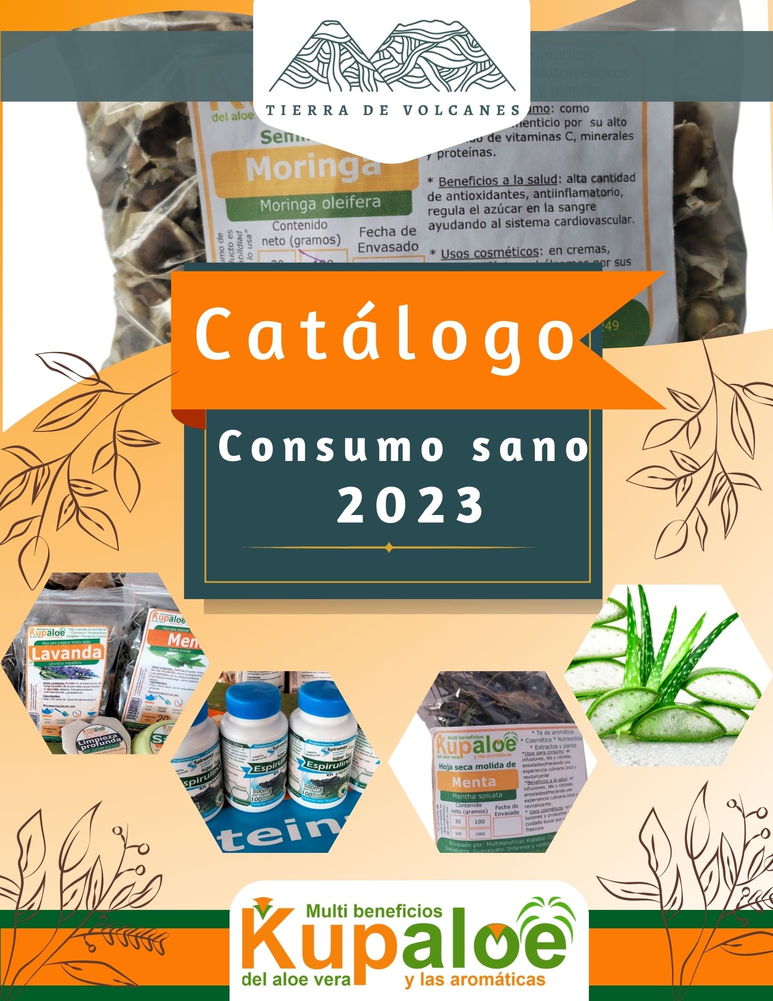 Catalogo Kupaloe consumo sano