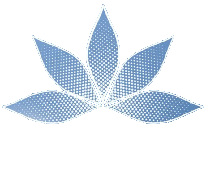 logo1