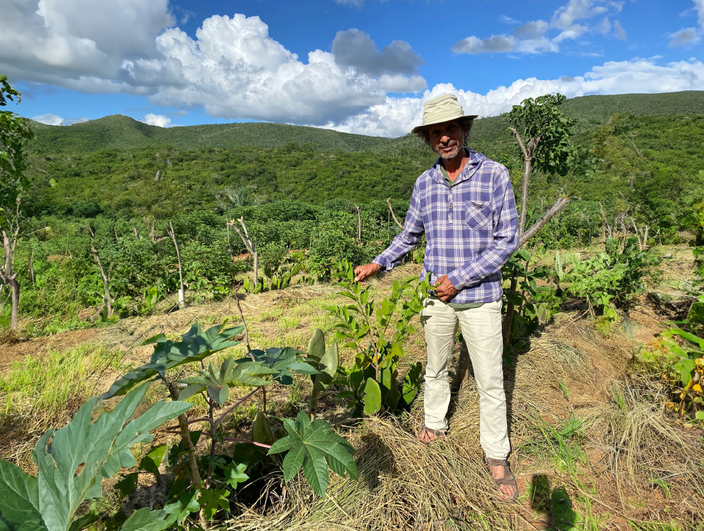 Agrofloresta Ourofino