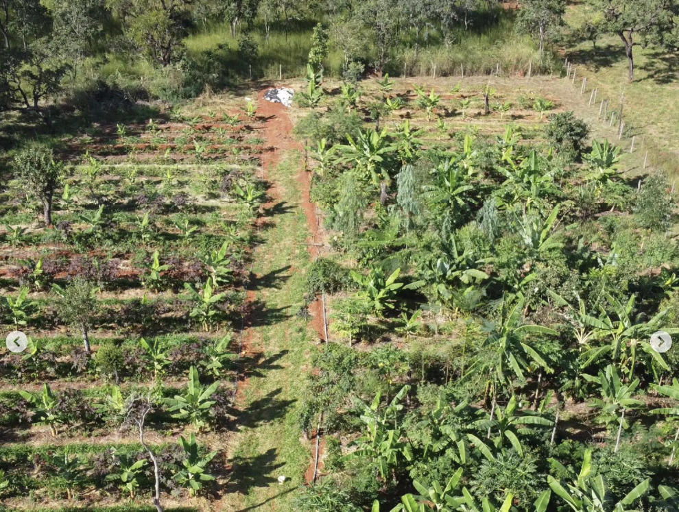 Chácara Rica Floresta